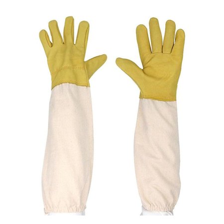 Bee Gloves_NCI-3203_137_2.jpg